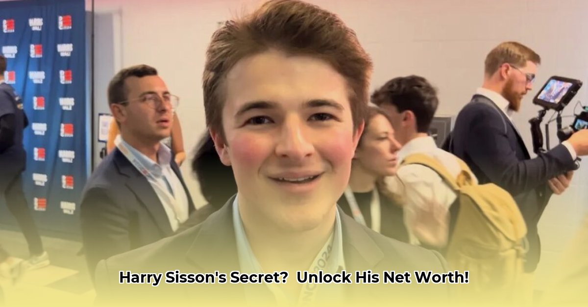 harry-j-sisson-net-worth